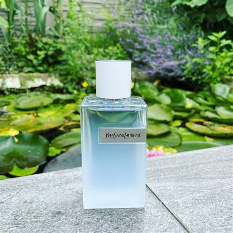 ysl cologne the bay|ysl y eau fraiche fragrantica.